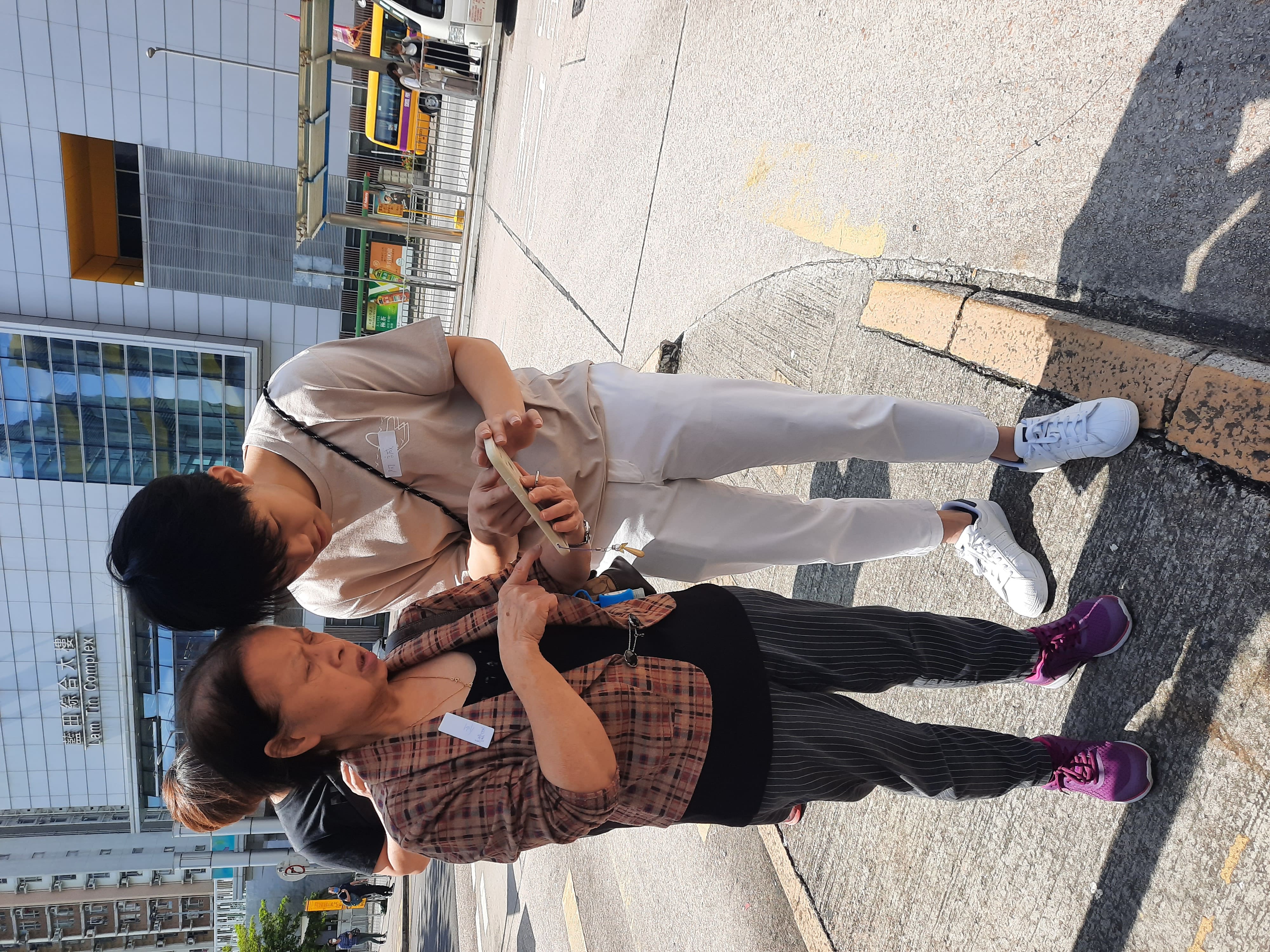 Advocating Gerontechnology